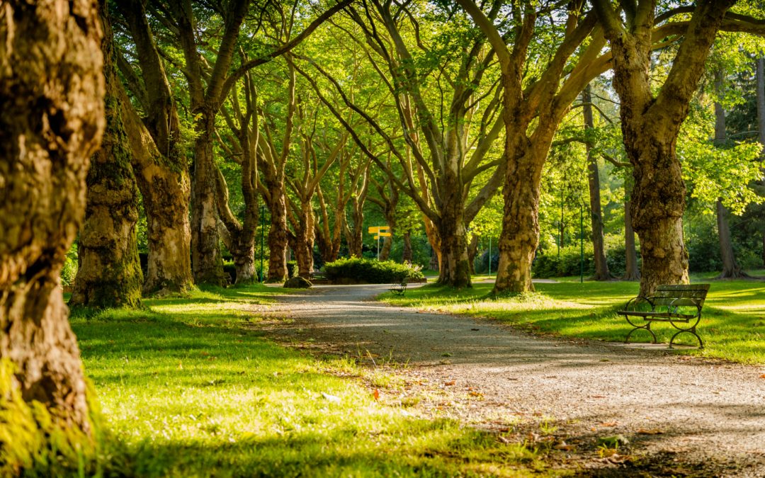 Optimisation de l’entretien des espaces verts publics